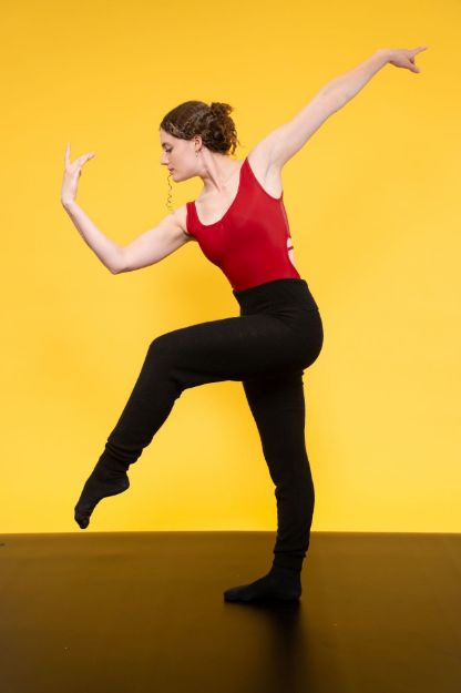 Picture of Dancestep Plus Marley Dance Floor