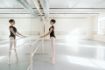 Picture of Portable Double-Railed Ballet Barre - Beige